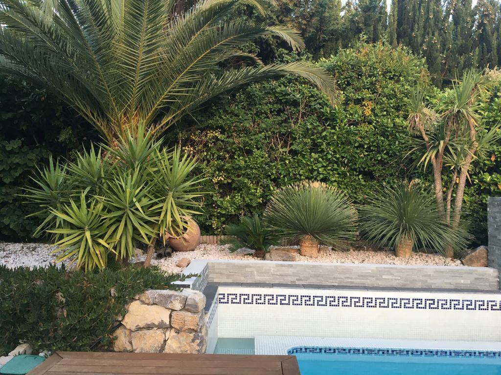La Villa Blanche Sanary-sur-Mer Bagian luar foto